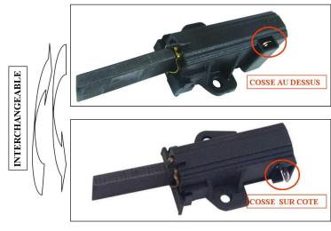 Charbons moteur